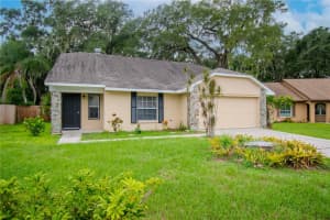 2039 SHADOW PINE DRIVE, BRANDON, FL 33511 Sold 03/28/25