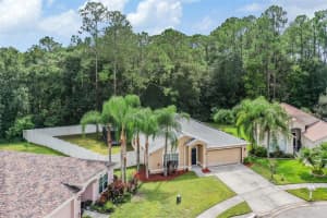35230 MEADOW REACH DRIVE, ZEPHYRHILLS, FL 33541 Sold 04/28/25