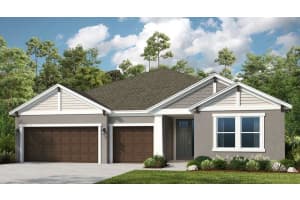 33957 ANCHOR LIGHT LANE, WESLEY CHAPEL, FL 33543 Sold 12/16/24