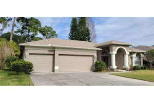 4467 Worthington Ct, PALM HARBOR