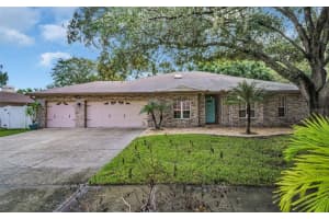 3436 BRIAN ROAD, PALM HARBOR, FL 34685 Sold 11/27/24