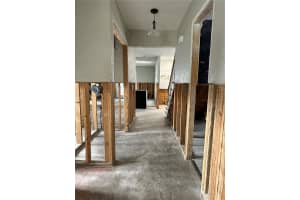 4801 DRYAD STREET, TAMPA, FL 33629 Sold 12/13/24