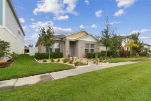 12621 HAMMOCK PARK DRIVE, RIVERVIEW, FL 33579 Sold 12/27/24