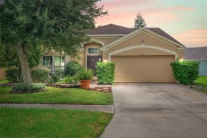 919 SUMMER BREEZE DRIVE, BRANDON, FL 33511 Sold 12/30/24