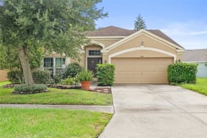 919 SUMMER BREEZE DRIVE, BRANDON, FL 33511 Sold 12/30/24