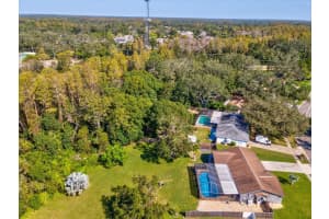 14210 BRIARTHORN DRIVE, TAMPA, FL 33625 Sold 12/13/24