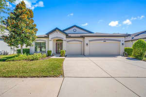 8144 MALLOW MIRROR LANE, LAND O LAKES, FL 34637 Sold 12/13/24