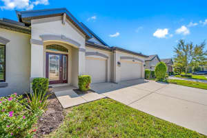 8144 MALLOW MIRROR LANE, LAND O LAKES, FL 34637 Sold 12/13/24