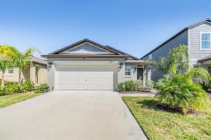 11099 FLOURISH DRIVE, LAND O LAKES, FL 34637 Sold 02/03/25