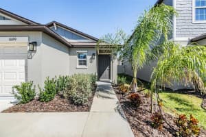 11099 FLOURISH DRIVE, LAND O LAKES, FL 34637 Sold 02/03/25