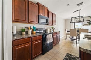 14105 COVERT GREEN PLACE, RIVERVIEW, FL 33579 Sold 12/04/24
