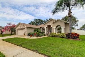 8115 BAYTREE DRIVE, NEW PORT RICHEY, FL 34653 Sold 01/27/25