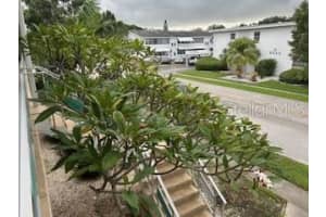 5945 21ST STREET, SAINT PETERSBURG, FL 33714 - MLS#MFRTB8311361