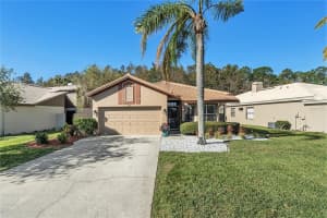 3698 DARSTON STREET, PALM HARBOR, FL 34685 Sold 12/11/24