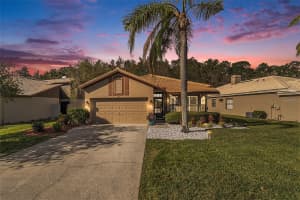 3698 DARSTON STREET, PALM HARBOR, FL 34685 Sold 12/11/24