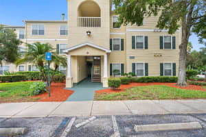 18593 Bridle Club Dr, TAMPA