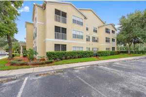 18593 BRIDLE CLUB DRIVE, TAMPA, FL 33647 - MLS#MFRTB8311460