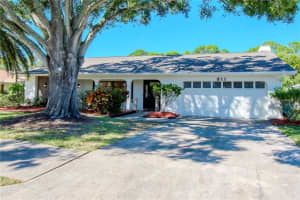 311 OAK CREST DRIVE, SAFETY HARBOR, FL 34695 Sold 11/21/24