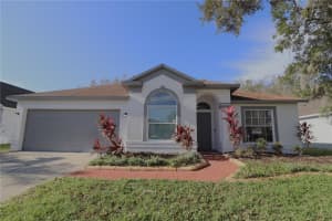 1143 TIMBER TRACE DRIVE, WESLEY CHAPEL, FL 33543 Sold 11/12/24