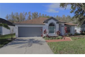 1143 TIMBER TRACE DRIVE, WESLEY CHAPEL, FL 33543 Sold 11/12/24