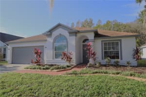 1143 TIMBER TRACE DRIVE, WESLEY CHAPEL, FL 33543 Sold 11/12/24