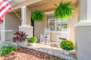 7218 SEEDPOD LOOP, WESLEY CHAPEL, FL 33545 Sold 12/03/24