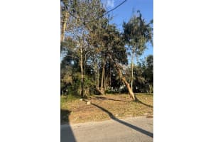 14530 6TH STREET, DADE CITY, FL 33523 - MLS#MFRTB8311801