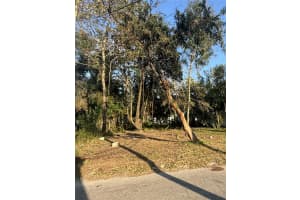 14530 6TH STREET, DADE CITY, FL 33523 - MLS#MFRTB8311801