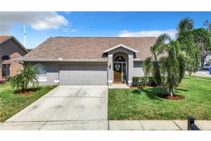 11401 ZENITH CIRCLE, TAMPA, FL 33635 Sold 12/10/24