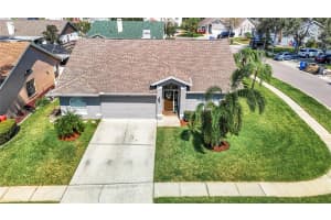 11401 ZENITH CIRCLE, TAMPA, FL 33635 Sold 12/10/24