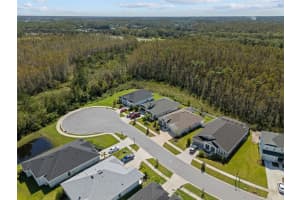15376 FENLAND WAY, ODESSA, FL 33556 Sold 12/23/24