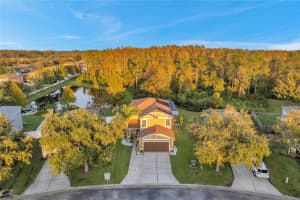 12700 WHITE BLUFF ROAD, HUDSON, FL 34669 Sold 11/25/24