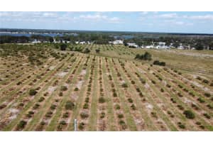 3200 POWER LINE ROAD, AVON PARK, FL 33825 - MLS#MFRTB8311895