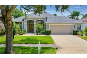 8902 ABERDEEN CREEK CIRCLE, RIVERVIEW, FL 33569 Sold 12/06/24