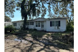 10655 2ND ST, THONOTOSASSA, FL 33592 Sold 01/31/25