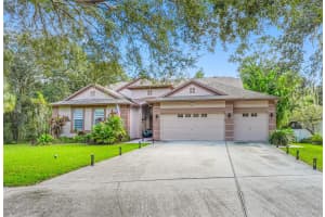 12532 RIVER BIRCH DRIVE, RIVERVIEW, FL 33569 Sold 03/07/25