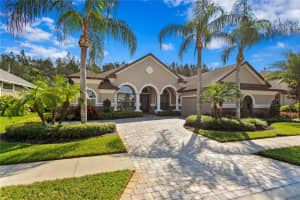 15027 WIND WHISPER DRIVE, ODESSA, FL 33556 Sold 11/15/24