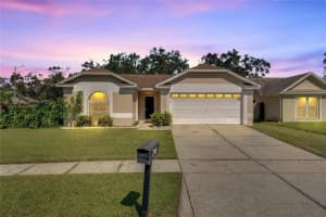 1124 BLOOM HILL AVENUE, VALRICO, FL 33596 Sold 12/06/24