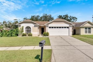 1124 BLOOM HILL AVENUE, VALRICO, FL 33596 Sold 12/06/24