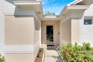 1124 BLOOM HILL AVENUE, VALRICO, FL 33596 Sold 12/06/24