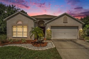 10954 May Apple Ct, LAND O LAKES