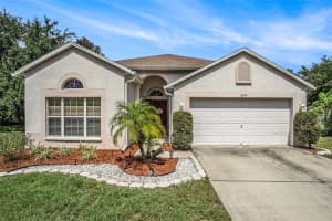 10954 MAY APPLE COURT, LAND O LAKES, FL 34638 - MLS#MFRTB8312016