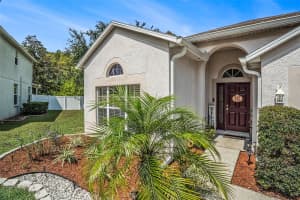 10954 MAY APPLE COURT, LAND O LAKES, FL 34638 - MLS#MFRTB8312016