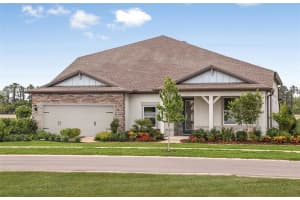 20876 DRAKE ELM DRIVE, LAND O LAKES, FL 34638 Sold 03/24/25