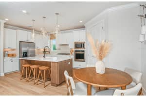 20876 DRAKE ELM DRIVE, LAND O LAKES, FL 34638 Sold 03/24/25