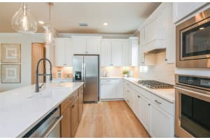 20876 DRAKE ELM DRIVE, LAND O LAKES, FL 34638 Sold 03/24/25