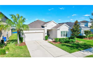 17608 BRIGHT WHEAT DRIVE, LITHIA, FL 33547 Sold 01/02/25