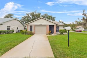 11633 ENGLISH ELM DRIVE, NEW PORT RICHEY, FL 34654 Sold 12/02/24