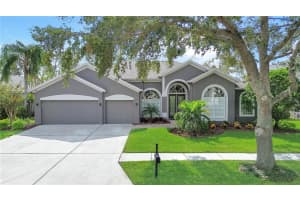 8307 SUMMER GROVE ROAD, TAMPA, FL 33647 Sold 12/11/24