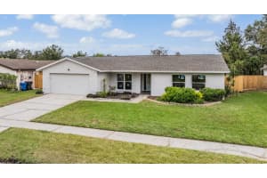 4201 HOLLOW HILL DRIVE, TAMPA, FL 33624 Sold 10/24/24